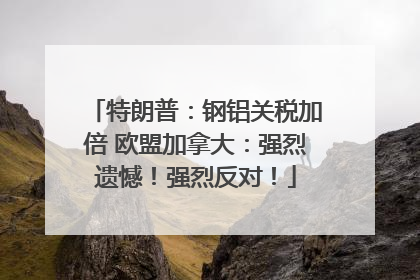 特朗普：钢铝关税加倍 欧盟加拿大：强烈遗憾！强烈反对！